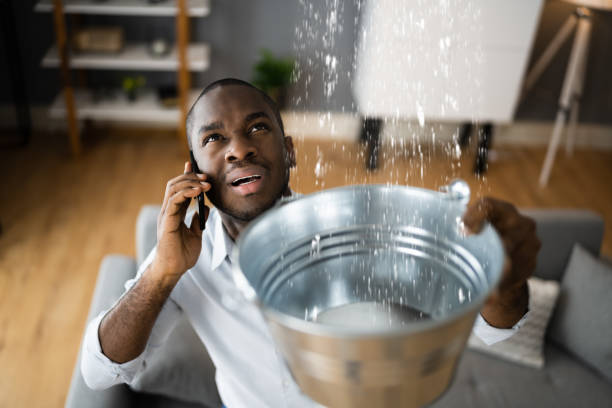 Best Water damage restoration near me  in Twisp, WA