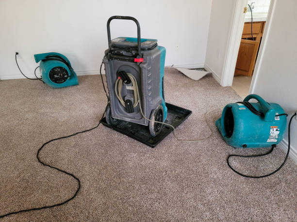 Best Ceiling water damage repair  in Twisp, WA