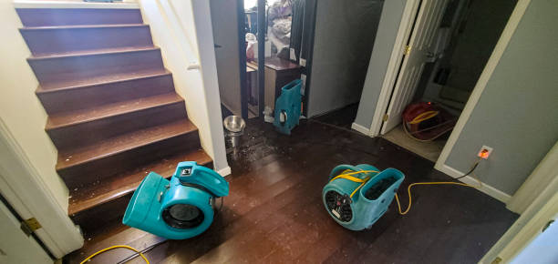 Best Ceiling water damage repair  in Twisp, WA