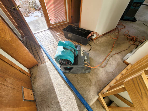Best Water damage cleanup near me  in Twisp, WA