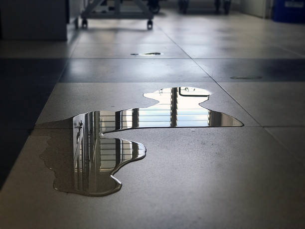 Best Water damage restoration near me  in Twisp, WA