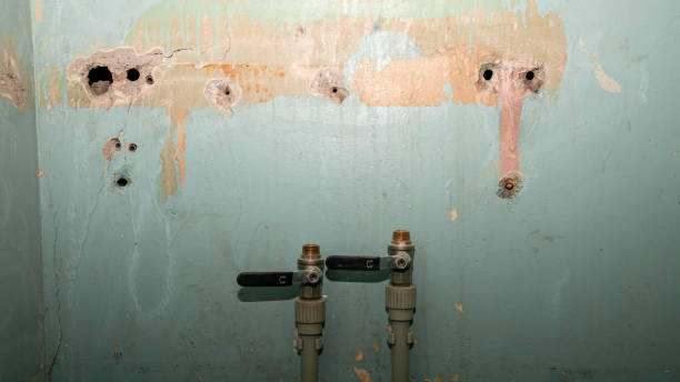Best Fire Damage Restoration  in Twisp, WA