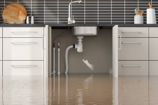Best Carpet water damage restoration  in Twisp, WA