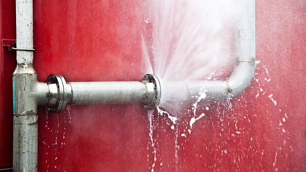 Best Flood restoration services  in Twisp, WA
