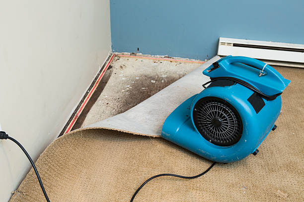Best Water damage contractors near me  in Twisp, WA